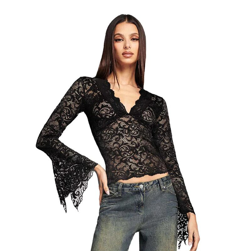 See Through V-neck Long Sleeve Lace Top